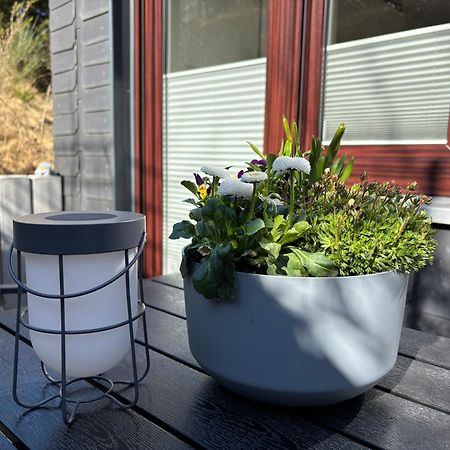 Dein Winterberg Apartment - Wifi Geschirrspueler Smart Tv Værelse billede